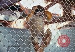 Image of LSD experiments animal testing San Francisco California USA, 1968, second 22 stock footage video 65675021680