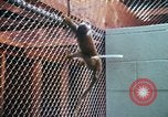 Image of LSD experiments San Francisco California USA, 1968, second 8 stock footage video 65675021681