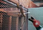 Image of LSD experiments San Francisco California USA, 1968, second 10 stock footage video 65675021681
