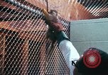 Image of LSD experiments San Francisco California USA, 1968, second 11 stock footage video 65675021681