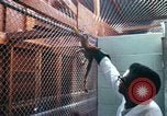 Image of LSD experiments San Francisco California USA, 1968, second 13 stock footage video 65675021681