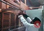 Image of LSD experiments San Francisco California USA, 1968, second 14 stock footage video 65675021681