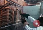 Image of LSD experiments San Francisco California USA, 1968, second 18 stock footage video 65675021681