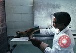 Image of LSD experiments San Francisco California USA, 1968, second 20 stock footage video 65675021681