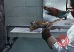 Image of LSD experiments San Francisco California USA, 1968, second 26 stock footage video 65675021681