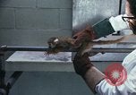 Image of LSD experiments San Francisco California USA, 1968, second 27 stock footage video 65675021681