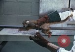 Image of LSD experiments San Francisco California USA, 1968, second 28 stock footage video 65675021681