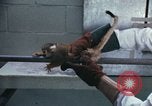 Image of LSD experiments San Francisco California USA, 1968, second 29 stock footage video 65675021681