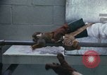 Image of LSD experiments San Francisco California USA, 1968, second 30 stock footage video 65675021681