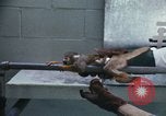 Image of LSD experiments San Francisco California USA, 1968, second 32 stock footage video 65675021681