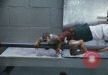 Image of LSD experiments San Francisco California USA, 1968, second 37 stock footage video 65675021681