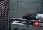 Image of LSD experiments San Francisco California USA, 1968, second 43 stock footage video 65675021681