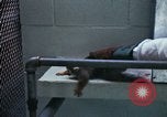 Image of LSD experiments San Francisco California USA, 1968, second 44 stock footage video 65675021681