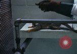 Image of LSD experiments San Francisco California USA, 1968, second 45 stock footage video 65675021681