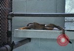 Image of LSD experiments San Francisco California USA, 1968, second 61 stock footage video 65675021681