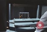 Image of LSD experiments San Francisco California USA, 1968, second 5 stock footage video 65675021682