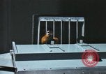 Image of LSD experiments San Francisco California USA, 1968, second 8 stock footage video 65675021682