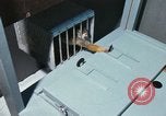 Image of LSD experiments San Francisco California USA, 1968, second 42 stock footage video 65675021682