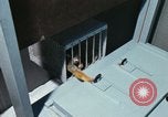Image of LSD experiments San Francisco California USA, 1968, second 44 stock footage video 65675021682