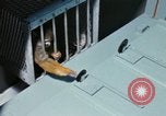 Image of LSD experiments San Francisco California USA, 1968, second 61 stock footage video 65675021682