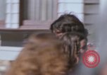 Image of Haught-Ashbury hippies San Francisco California USA, 1968, second 30 stock footage video 65675021691