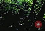 Image of military training Vietnam, 1971, second 19 stock footage video 65675021696