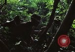 Image of military training Vietnam, 1971, second 20 stock footage video 65675021696