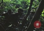 Image of military training Vietnam, 1971, second 21 stock footage video 65675021696