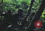 Image of military training Vietnam, 1971, second 22 stock footage video 65675021696