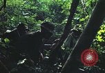 Image of military training Vietnam, 1971, second 23 stock footage video 65675021696