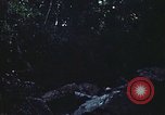 Image of military training Vietnam, 1971, second 39 stock footage video 65675021696