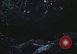 Image of military training Vietnam, 1971, second 40 stock footage video 65675021696