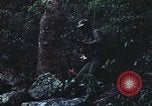 Image of military training Vietnam, 1971, second 55 stock footage video 65675021696