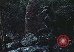 Image of military training Vietnam, 1971, second 56 stock footage video 65675021696