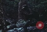 Image of military training Vietnam, 1971, second 57 stock footage video 65675021696