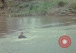 Image of military training Vietnam, 1971, second 3 stock footage video 65675021698