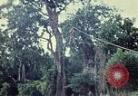 Image of military training Vietnam, 1971, second 4 stock footage video 65675021698