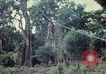 Image of military training Vietnam, 1971, second 5 stock footage video 65675021698