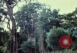 Image of military training Vietnam, 1971, second 12 stock footage video 65675021698