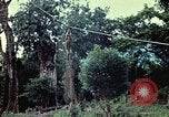 Image of military training Vietnam, 1971, second 13 stock footage video 65675021698