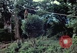 Image of military training Vietnam, 1971, second 14 stock footage video 65675021698