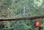 Image of military training Vietnam, 1971, second 27 stock footage video 65675021698