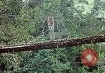 Image of military training Vietnam, 1971, second 32 stock footage video 65675021698