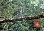 Image of military training Vietnam, 1971, second 34 stock footage video 65675021698