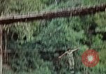 Image of military training Vietnam, 1971, second 35 stock footage video 65675021698