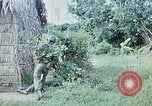 Image of military training Vietnam, 1971, second 46 stock footage video 65675021702