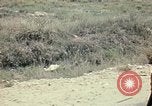 Image of Vietnamese Special Forces Vietnam, 1970, second 31 stock footage video 65675021704