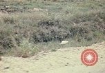 Image of Vietnamese Special Forces Vietnam, 1970, second 32 stock footage video 65675021704