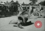 Standbild Signal Corps United States USA, 1943, aus Sekunde 26 historischem Filmmaterial Videoclip 65675021720