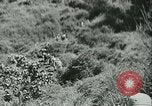 Standbild Signal Corps United States USA, 1943, aus Sekunde 45 historischem Filmmaterial Videoclip 65675021720